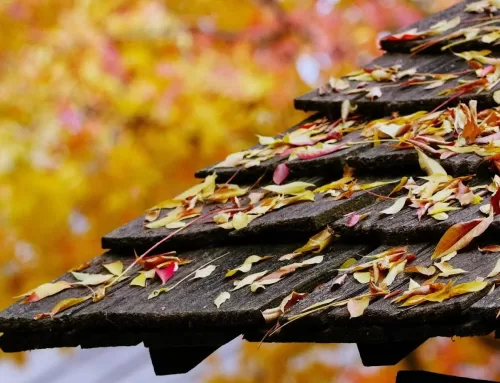 6 Common Autumn Roof Repairs to Address Summer Damages