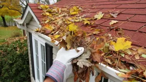 Clogged Gutters and Roof Repairs Fairfax, VA